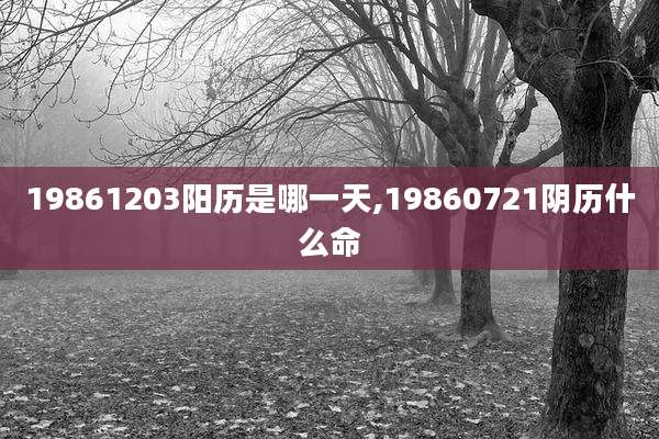 19861203阳历是哪一天,19860721阴历什么命