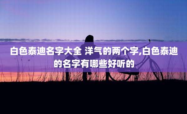 白色泰迪名字大全 洋气的两个字,白色泰迪的名字有哪些好听的