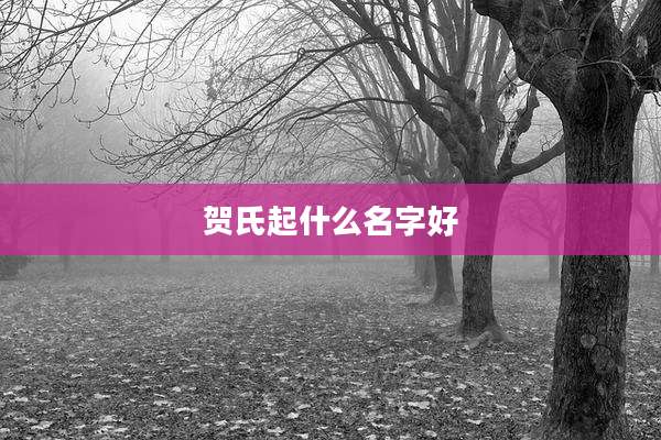 贺氏起什么名字好