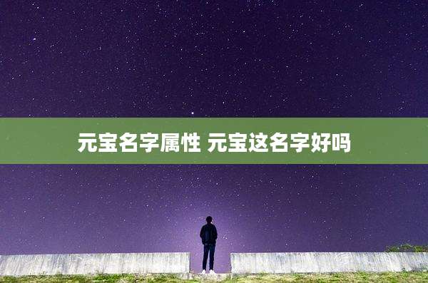 元宝名字属性 元宝这名字好吗