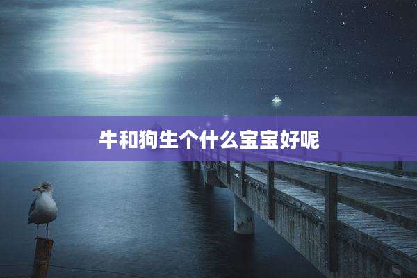 牛和狗生个什么宝宝好呢