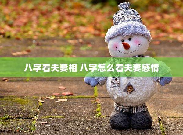 八字看夫妻相 八字怎么看夫妻感情
