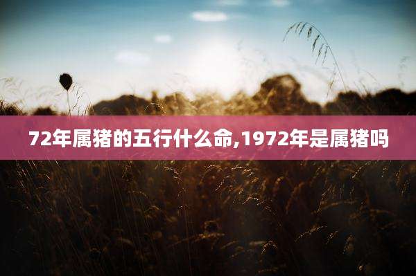 72年属猪的五行什么命,1972年是属猪吗