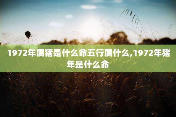 1972年属猪是什么命五行属什么,1972年猪年是什么命