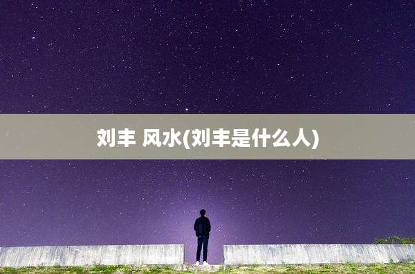 刘丰 风水(刘丰是什么人)