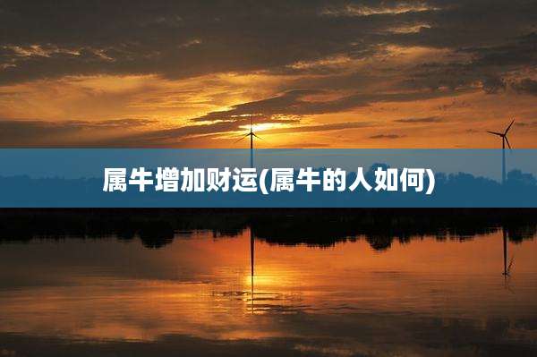 属牛增加财运(属牛的人如何)