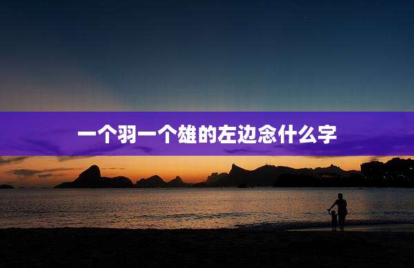 一个羽一个雄的左边念什么字