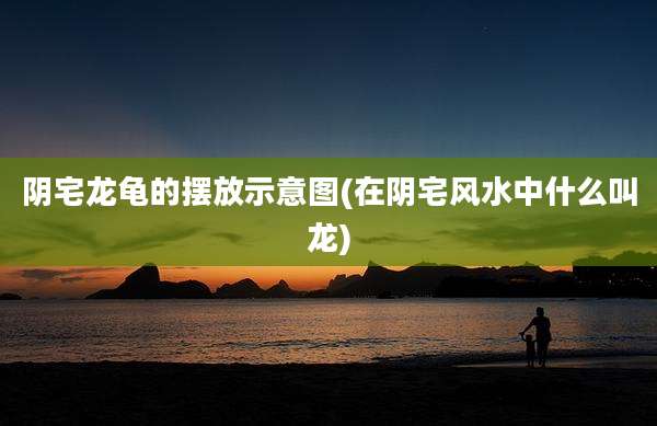 阴宅龙龟的摆放示意图(在阴宅风水中什么叫龙)