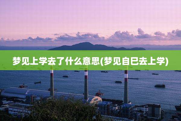 梦见上学去了什么意思(梦见自巳去上学)