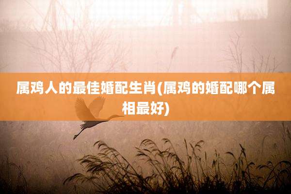 属鸡人的最佳婚配生肖(属鸡的婚配哪个属相最好)
