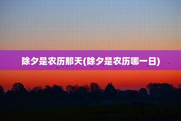 除夕是农历那天(除夕是农历哪一日)