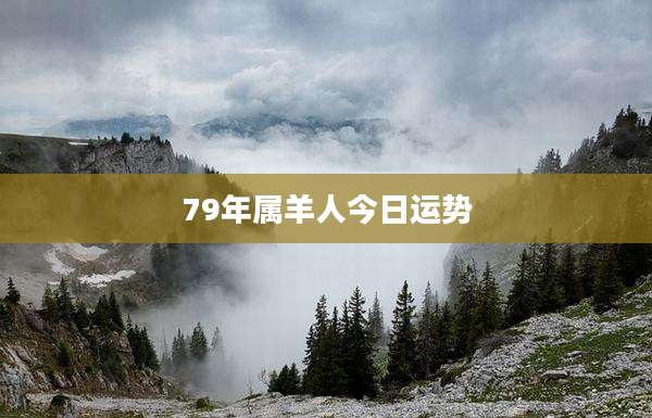79年属羊人今日运势