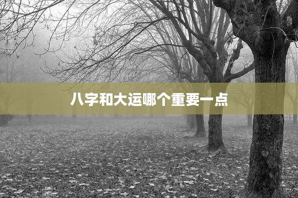 八字和大运哪个重要一点