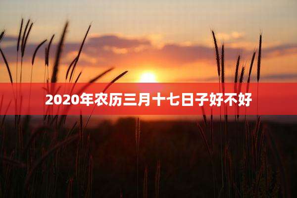2020年农历三月十七日子好不好