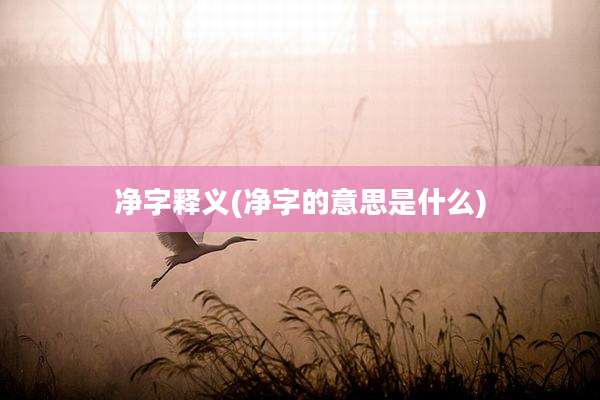 净字释义(净字的意思是什么)