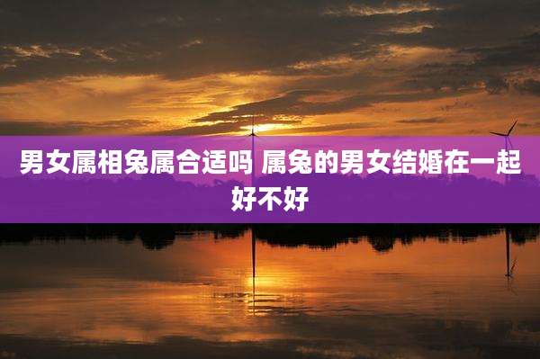 男女属相兔属合适吗 属兔的男女结婚在一起好不好