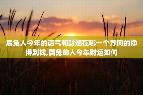 属兔人今年的运气和财运在哪一个方向的挣得到钱,属兔的人今年财运如何