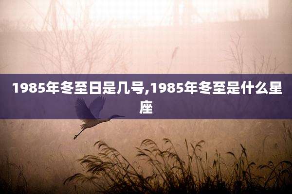 1985年冬至日是几号,1985年冬至是什么星座