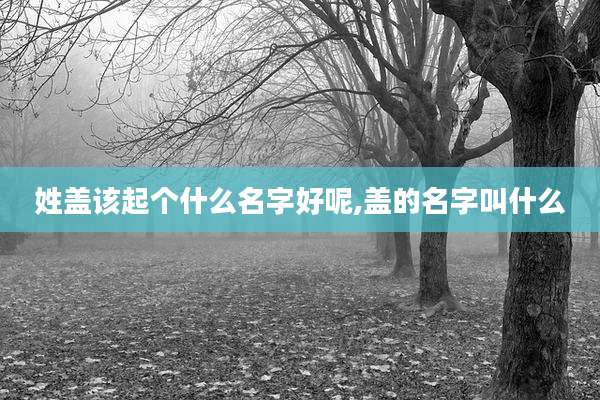 姓盖该起个什么名字好呢,盖的名字叫什么
