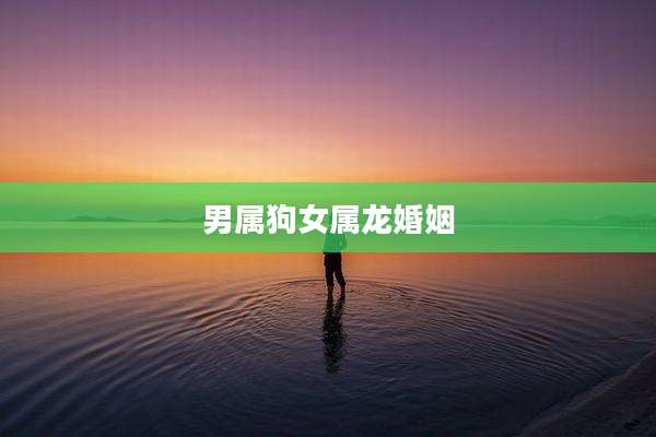 男属狗女属龙婚姻