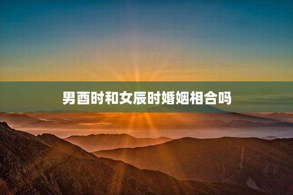 男酉时和女辰时婚姻相合吗