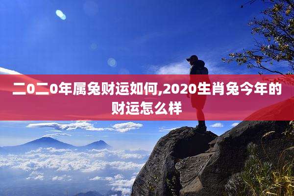 二0二0年属兔财运如何,2020生肖兔今年的财运怎么样