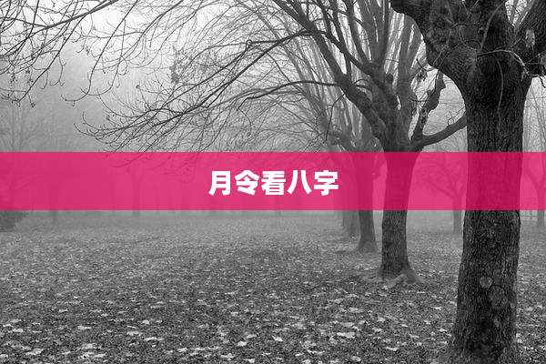 月令看八字