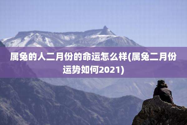 属兔的人二月份的命运怎么样(属兔二月份运势如何2021)