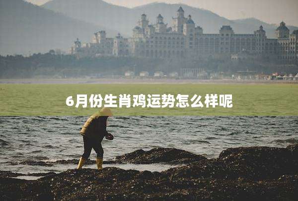 6月份生肖鸡运势怎么样呢