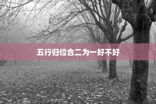 五行归位合二为一好不好