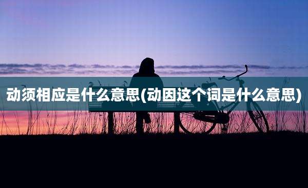 动须相应是什么意思(动因这个词是什么意思)