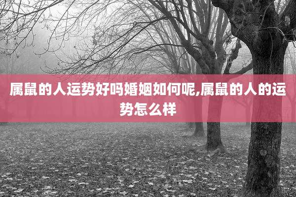 属鼠的人运势好吗婚姻如何呢,属鼠的人的运势怎么样