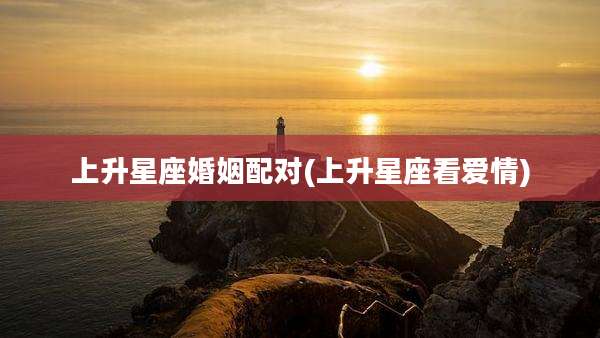 上升星座婚姻配对(上升星座看爱情)
