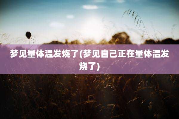 梦见量体温发烧了(梦见自己正在量体温发烧了)