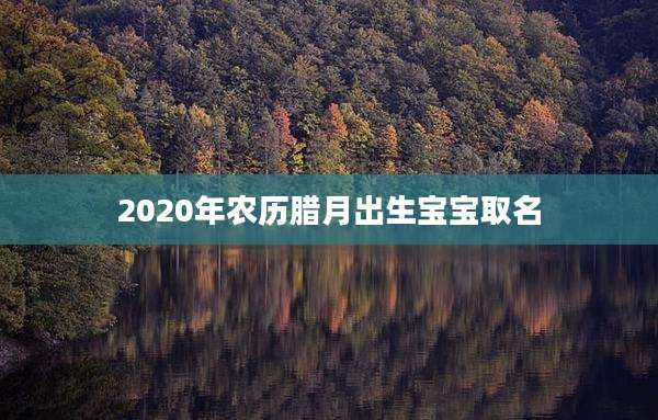 2020年农历腊月出生宝宝取名