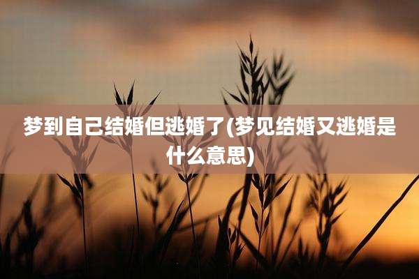 梦到自己结婚但逃婚了(梦见结婚又逃婚是什么意思)