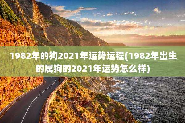 1982年的狗2021年运势运程(1982年出生的属狗的2021年运势怎么样)