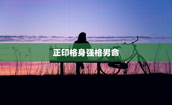 正印格身强格男命