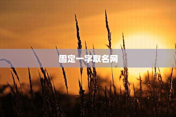 固定一字取名网