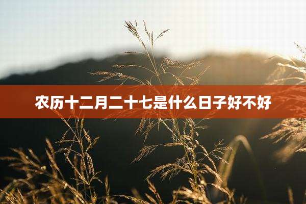农历十二月二十七是什么日子好不好