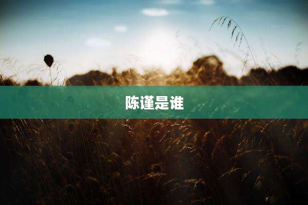 陈谨是谁
