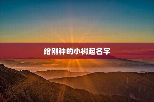 给刚种的小树起名字
