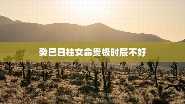 癸巳日柱女命贵极时辰不好