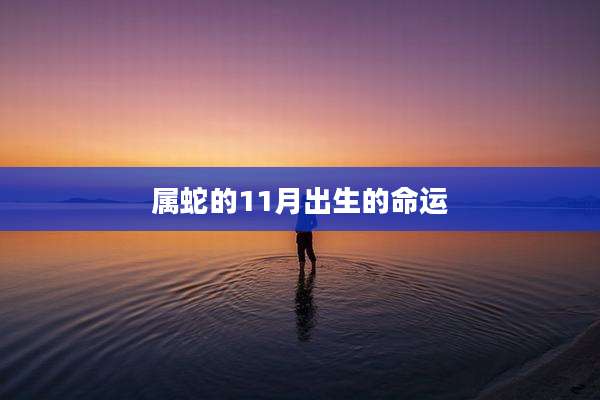属蛇的11月出生的命运