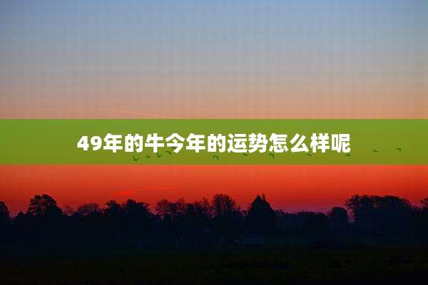 49年的牛今年的运势怎么样呢