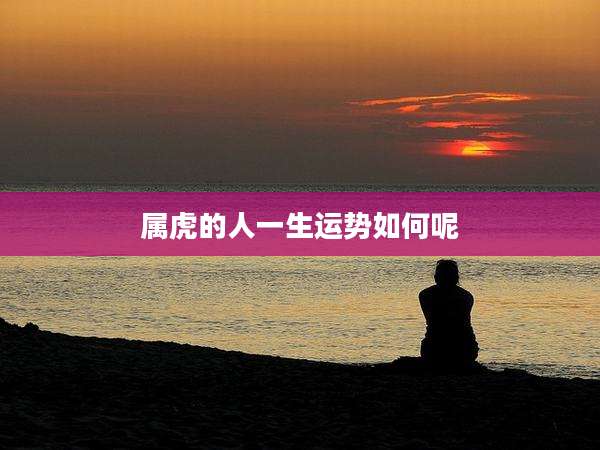 属虎的人一生运势如何呢