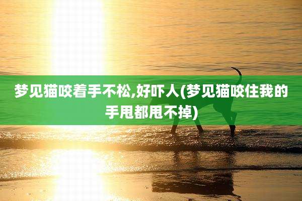 梦见猫咬着手不松,好吓人(梦见猫咬住我的手甩都甩不掉)