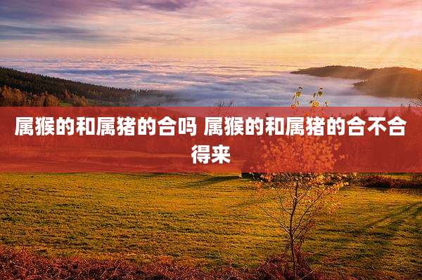 属猴的和属猪的合吗 属猴的和属猪的合不合得来
