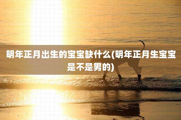 明年正月出生的宝宝缺什么(明年正月生宝宝是不是男的)