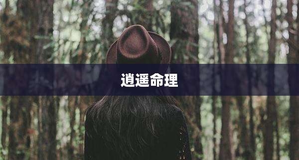 逍遥命理